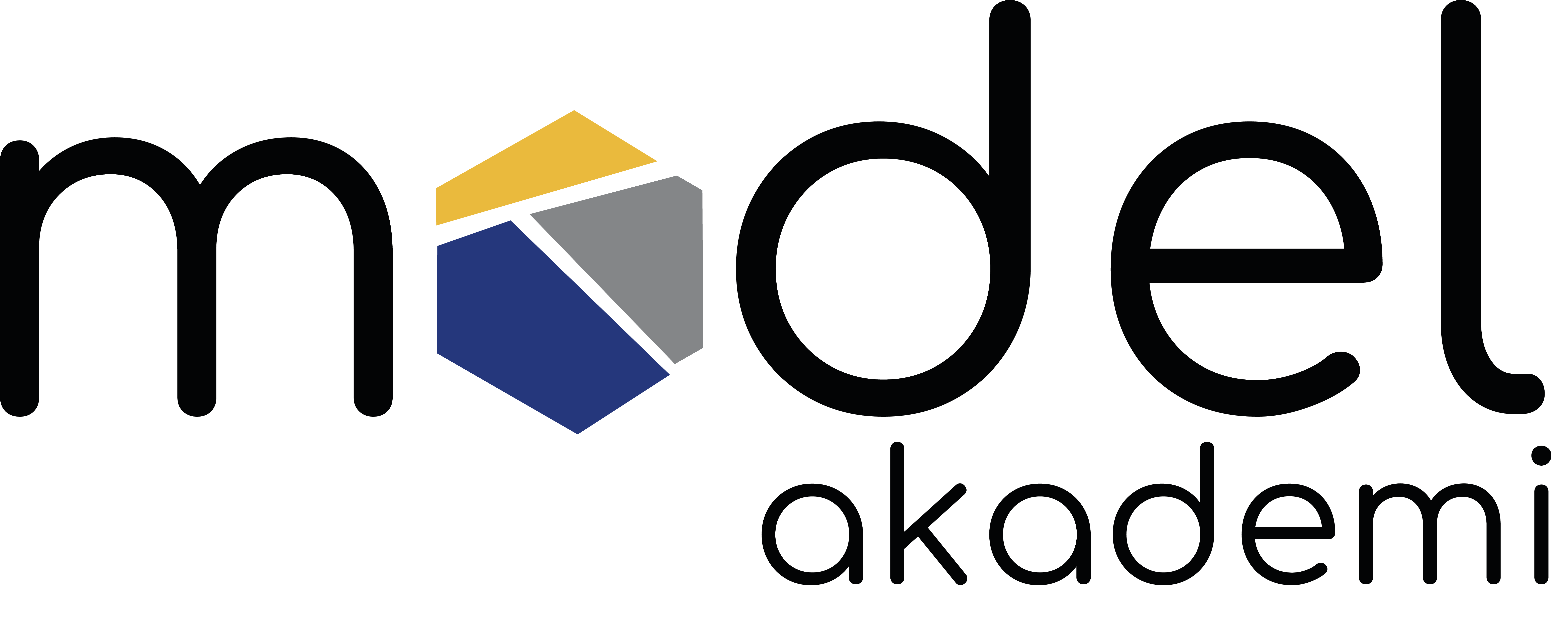 Model Akademi