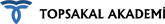 Topsakal Akademi